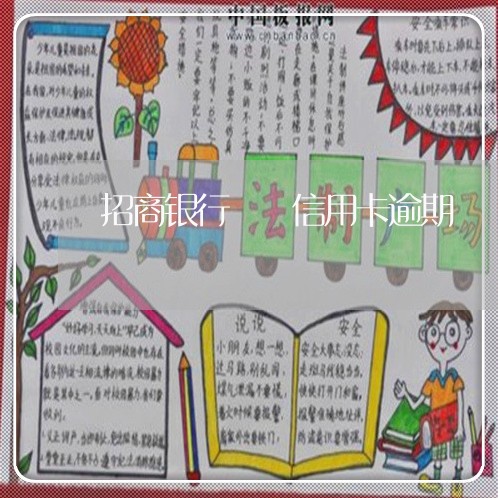 招商银行  信用卡逾期